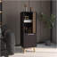 Armoire de rangement, 1 porte, 2 tablettes, noir / chêne naturel