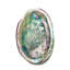 Mineralist Abalone Shell-1410158945