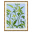 Tropic Sky I & II Set by Dana Gibson Soicher Marin