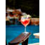 Revel Gin Balloon Glass