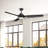 Fremont Ceiling Fan with LED Lights-92721409