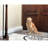 Baseboarders Elliptus Series Steel Easy Slip-On Baseboard Heater Cover Zero Clearance End Cap