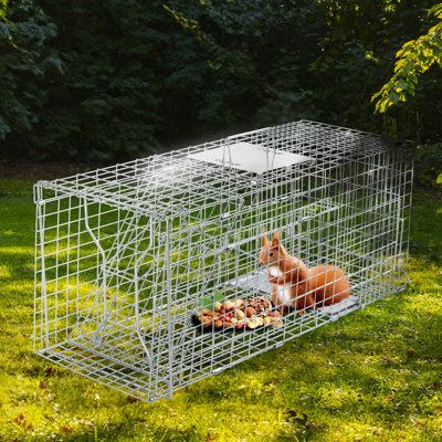 Iron Small Animal Folding Cage Trap