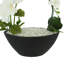 Orchidées et arrangement floral Sedum dans un vase