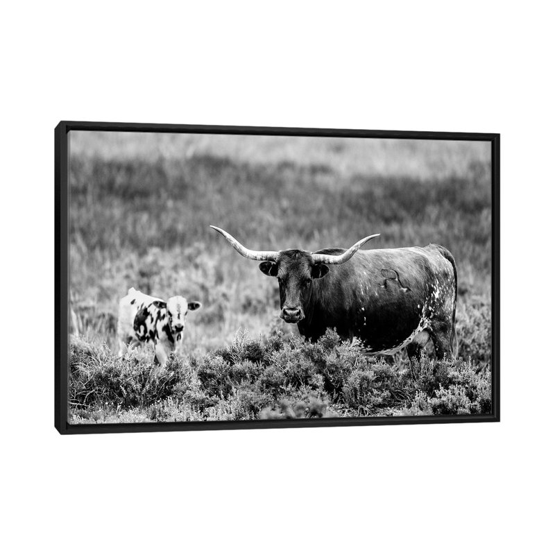 « b&w longhorn ii », reproduction de photo sur toile, H 18 po x l 26 po x P 1,5 po, Toile avec cadre noir