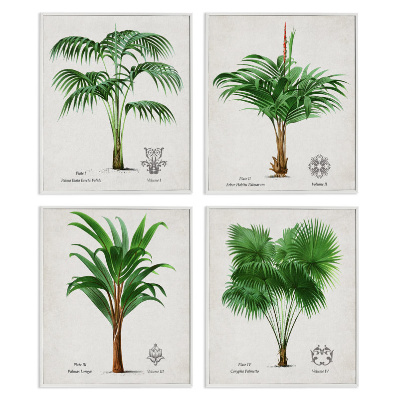 Ensemble de giclées encadrées, 4 pièces Palm, H 20 po x l 16 po, Estampe numérique encadrée blanc bord de mer