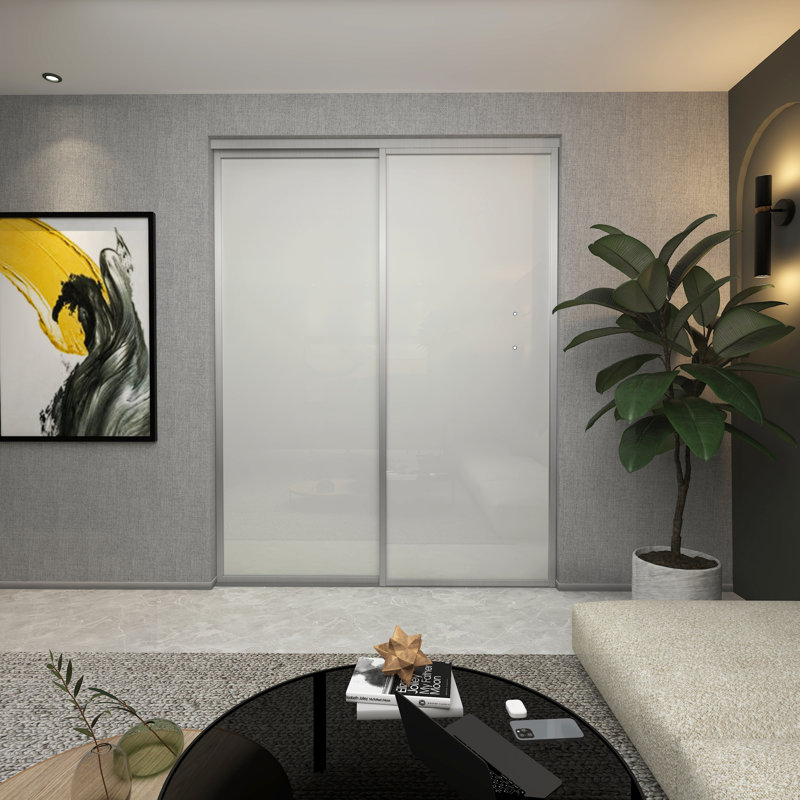 Garde-robe coulissant en verre givré à 2 panneaux, Argent argent, 60 po x 80 po