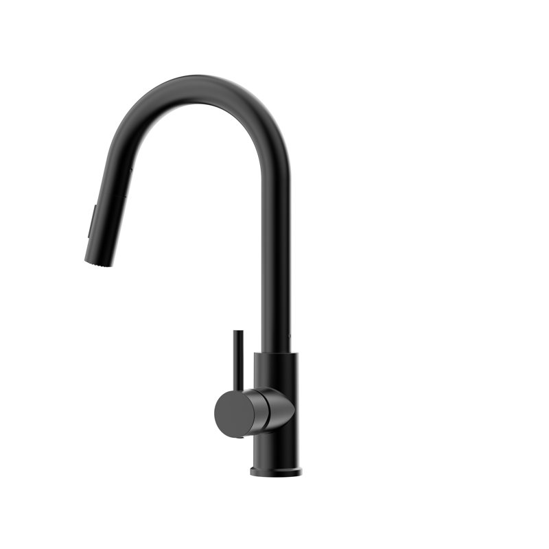 RoomTec Pull Down Kitchen Faucet, Matte Black