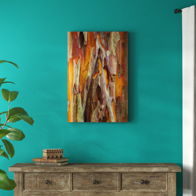" Crape Myrtle Bark II " by Kathy Mahan