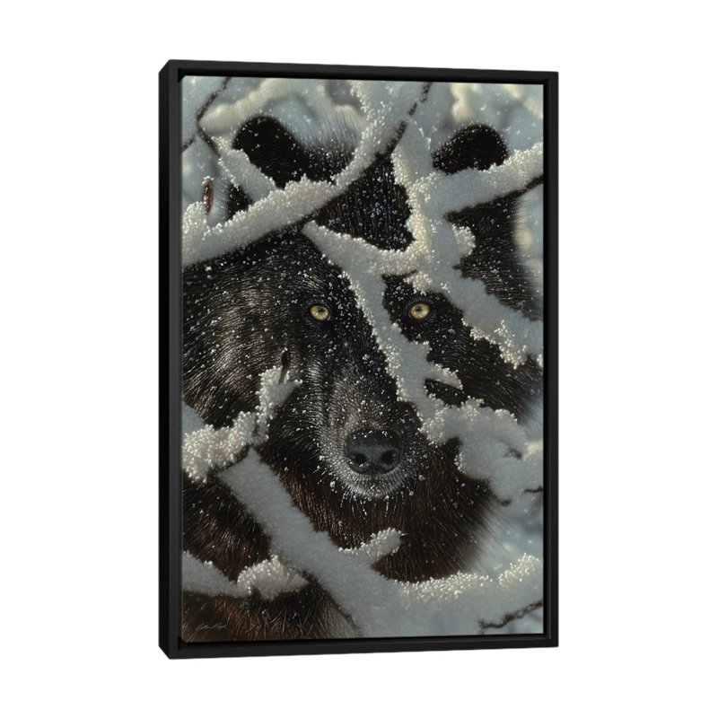 Winter's Black Wolf by Collin Bogle - Print on Canvas, 152.5 cm H x 101.5 cm W, Black Framed