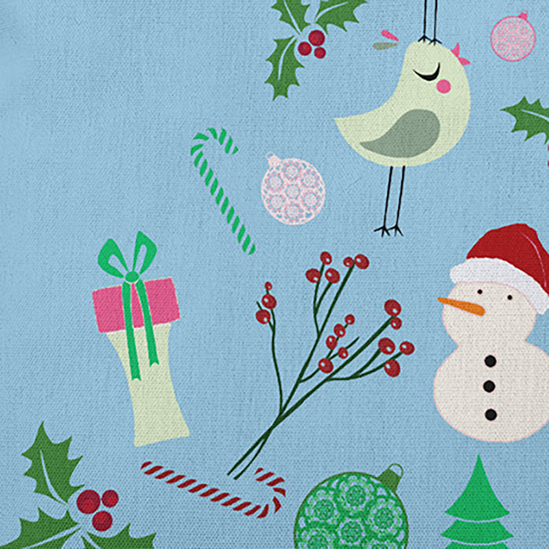 Coussin décoratif «Merry Christmas Story», H 16 po x l 16 po, Île Seymour Nord, Galapagos