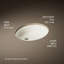Caxton® Vitreous China Oval Undermount Bathroom Sink with Overflow-43100388