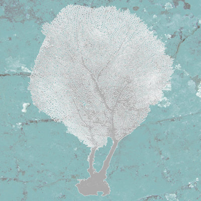 Graphic Sea Fan II - Wrapped Canvas Print