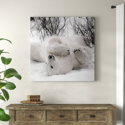 «Hudson Bay Bear», photographie