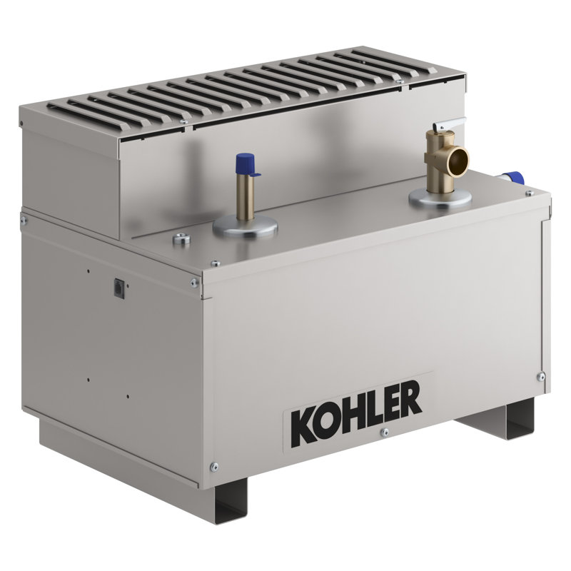 Invigoration™ Series 13kW Steam Generator