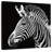 Brampt Zebra Stripes Pattern III-109395057