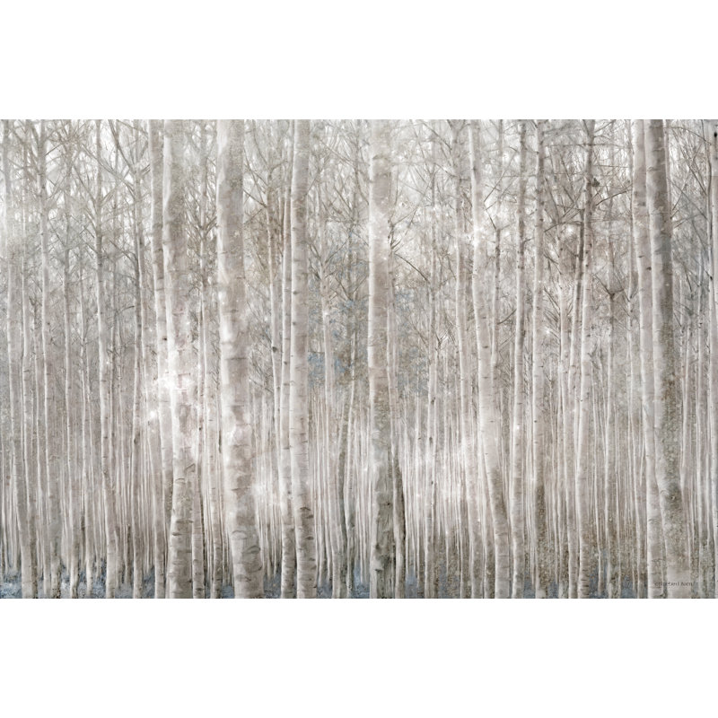 Bouleaux par Bluebird Barn - impression, H 20 po x l 30 po, Papier avec cadre simple noir avec passe-partout
