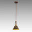 Luminaire suspendu rustique 1 lumière