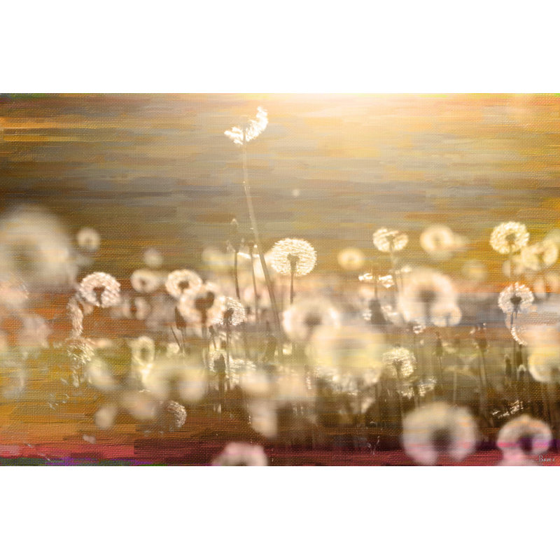 Parvez Taj - Wrapped Canvas Print, 51cm H x 76cm W x 4cm D