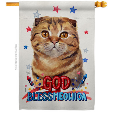 Patriotic Scottish Fold 2-Sided Polyester 40 x 28 ft. House Flag