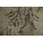 Tapis turc Anatolian 5 x 10