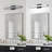 Schuykill LED Vanity Light
