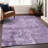 Cassiva Purple Washable Indoor-Outdoor Rug - -142809667