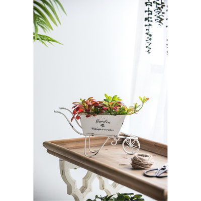 4 pouces de large, blanc antique, jardinière brouette patinée, décor, fausses fleurs, petits outils, plantes grasses fraîches