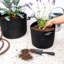 Aaren Pot Planter-402702940
