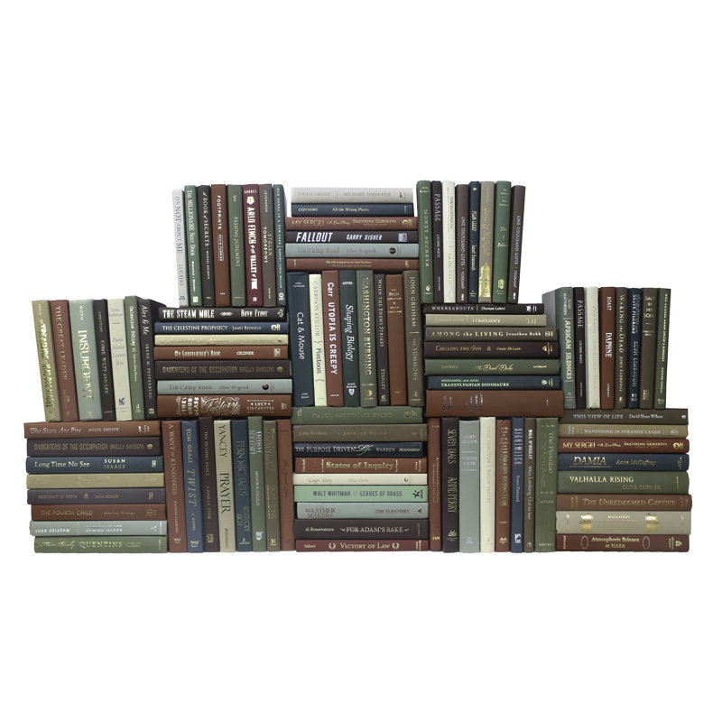 Modern Cabin Book Wall, 100