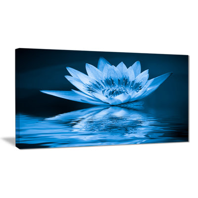 " Blue Water Lily "
