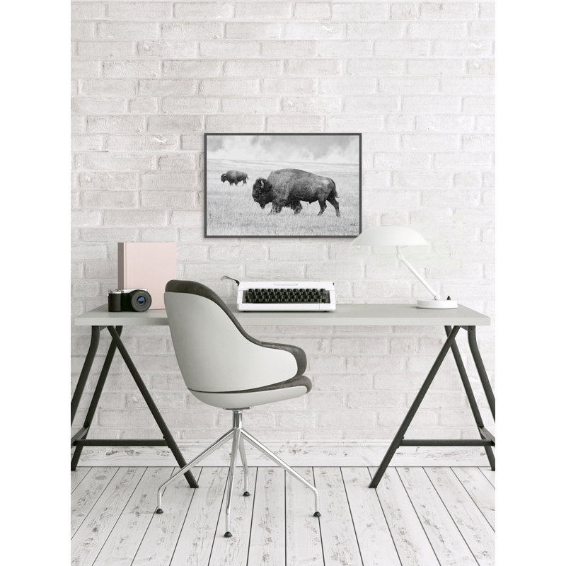 «Buffalo pair», reproduction sur toile encadrée, H 20 po x l 30 po x P 1,5 po