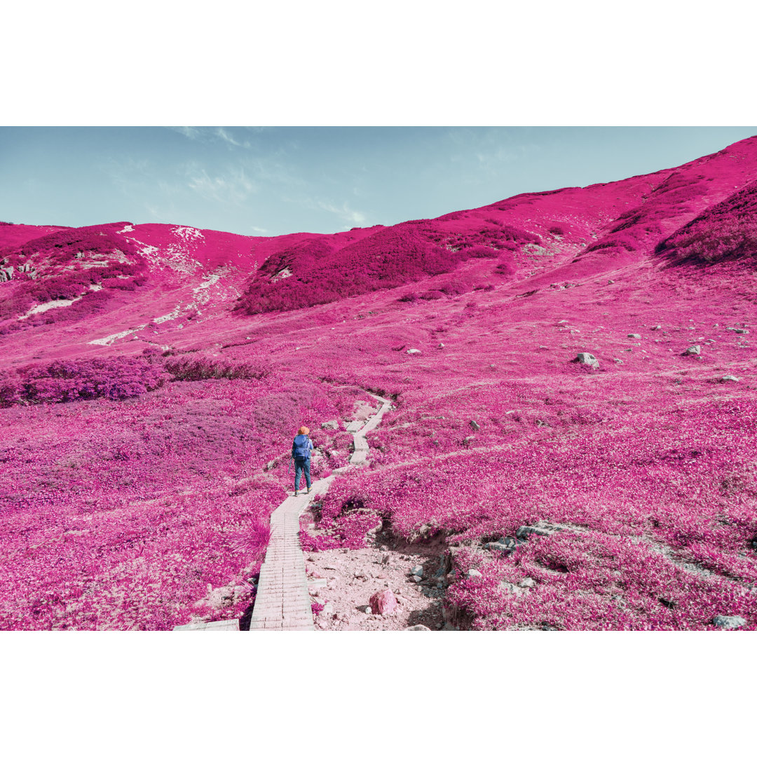 Frau beim Wandern by Yagi-Studio - Druck