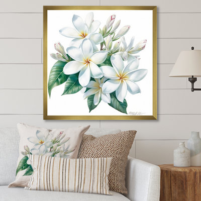 Plumeria charmante et élégante