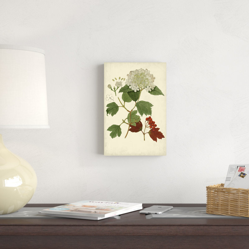 Viburnum en fleurs I, H 12 po x l 8 po