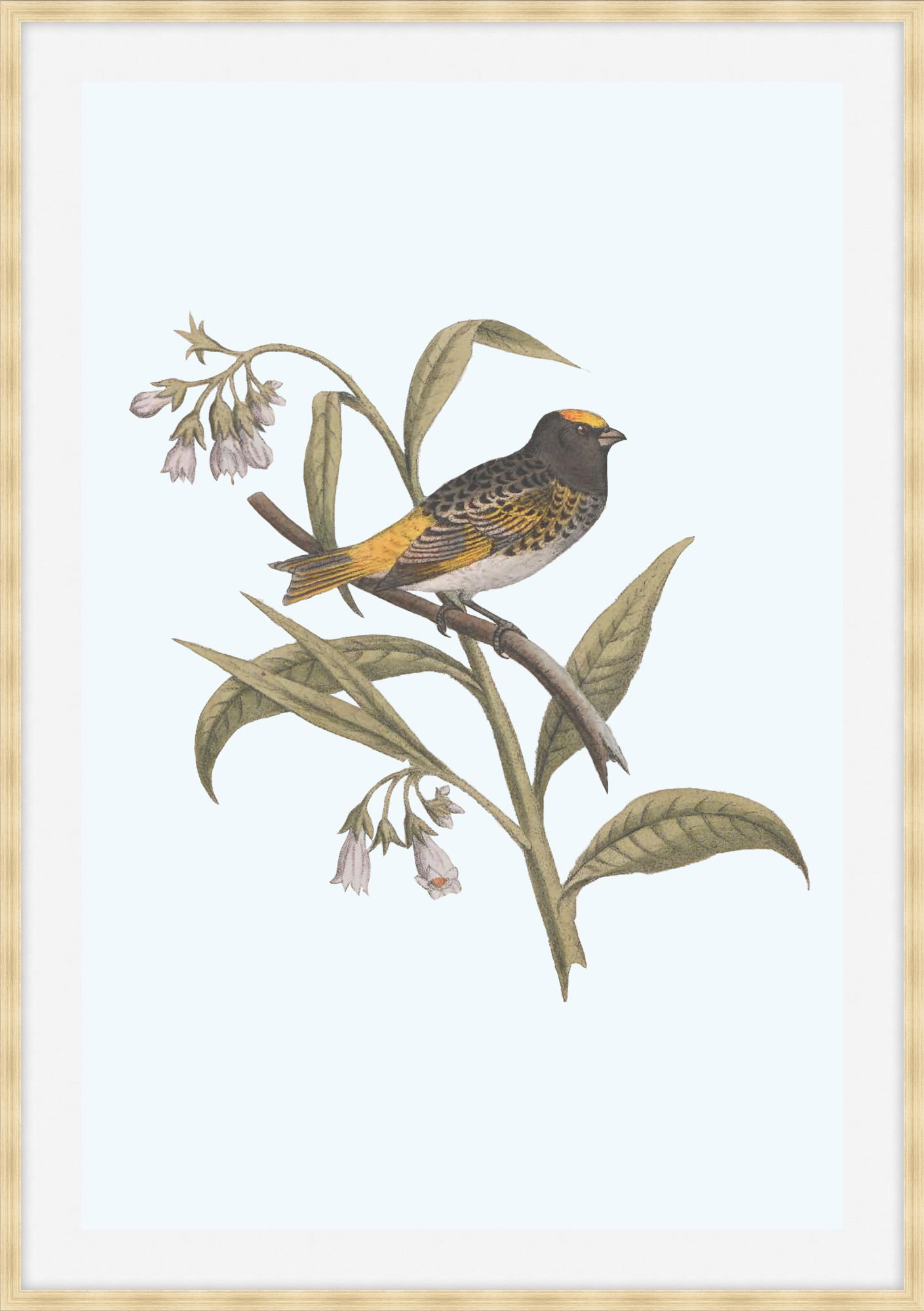 Art House Studios Nesting Navigators Blue 5 Framed Art Print | Perigold