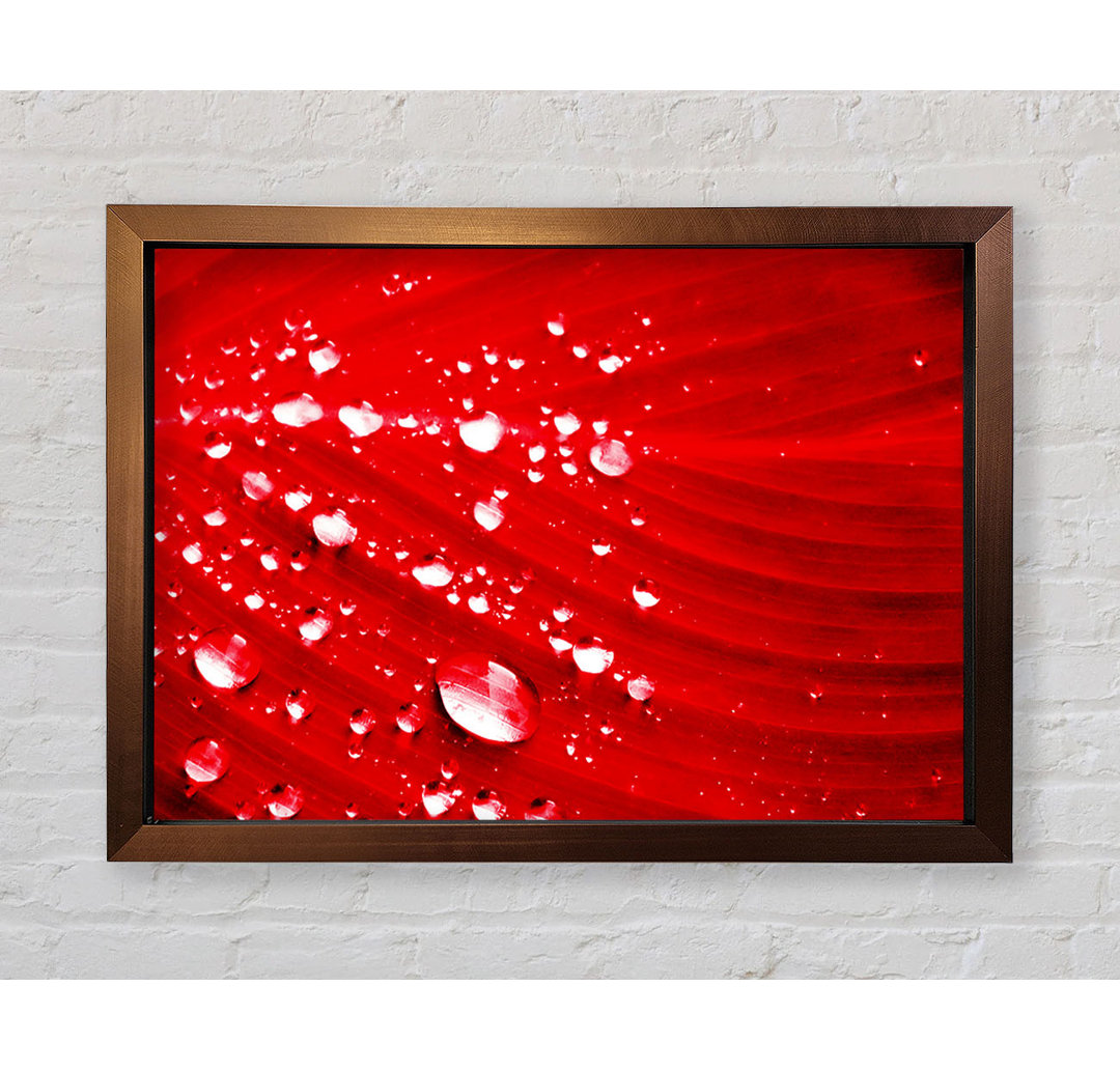 Gerahmter Kunstdruck Red Water Droplets