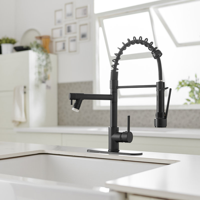Pull Down Single Handle Kitchen Faucet with Accessories, Matte Black