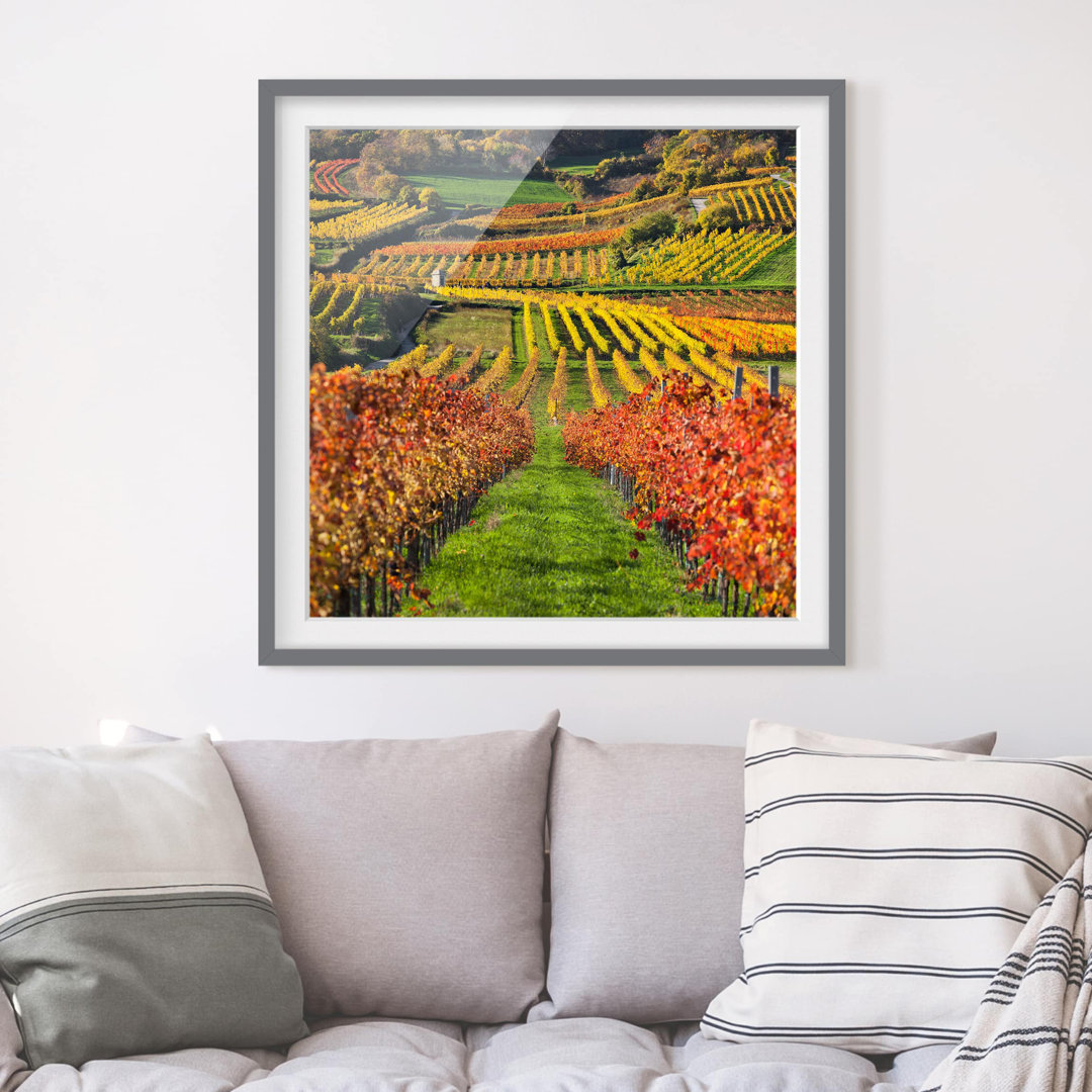 Gerahmtes Poster Vineyard View