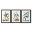 Pastel Birds IV - impression encadrée de qualité supérieure sur mesure mat - 3 pièces-1195610759-1195610776