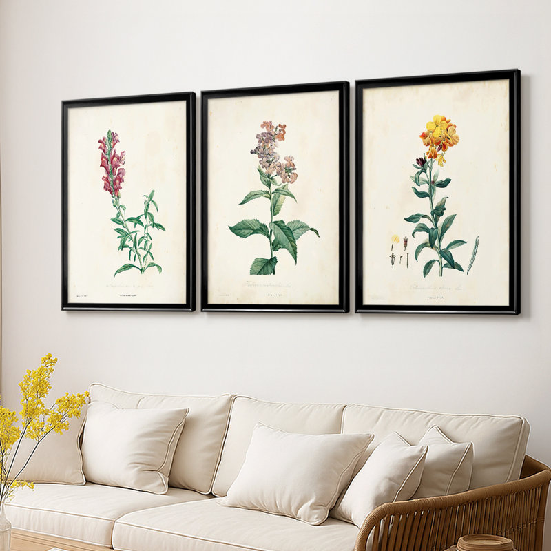 Traditional Botanical I - Toile tendue avec châssis sur mesure - 3 pièces, H 21 po x l 30 po