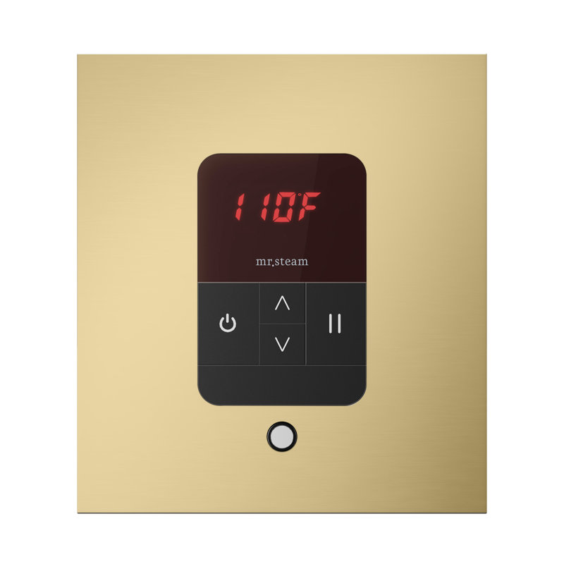 iTempo Square Steam Shower Control and Steamhead, Satin Brass