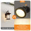 Outdoor Wall Lantern-986664989