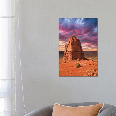 Desert Beauty by Mark Paulda - Print on Canvas