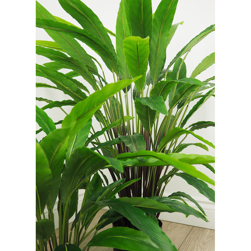 Faux calathea botanique au fini vert, H 39 po x l 28 po x P 28 po