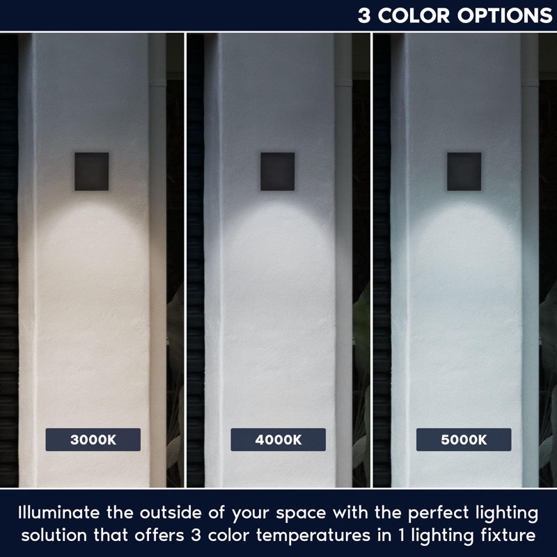 LED Wall Light