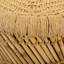 Acampora Rattan Accent Stool