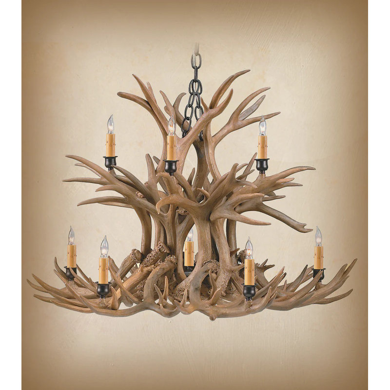 12 - Light Chandelier