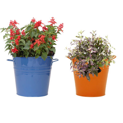 Maynard Metal Pot Planter