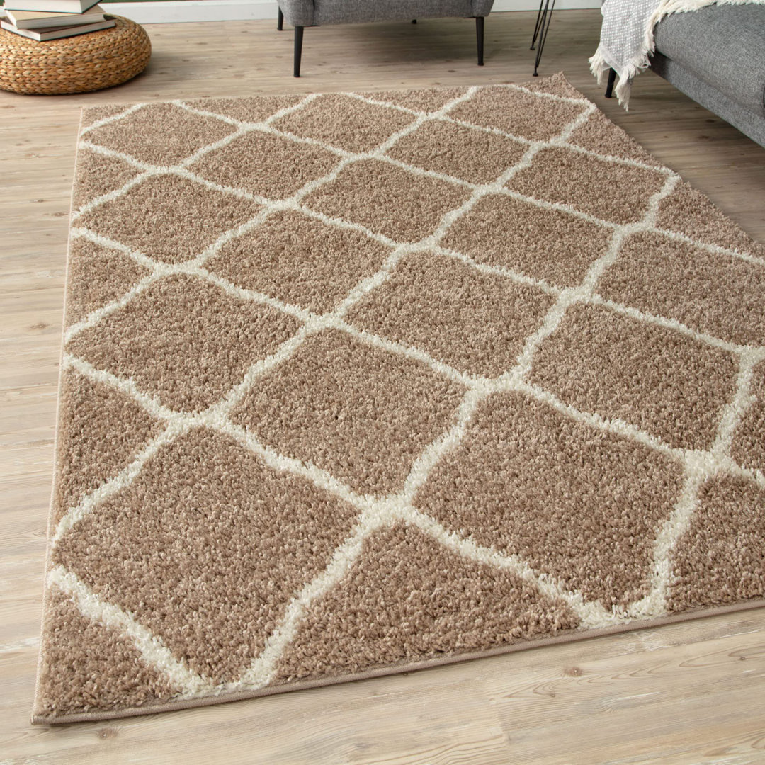 120cm X 170cm Area Rug